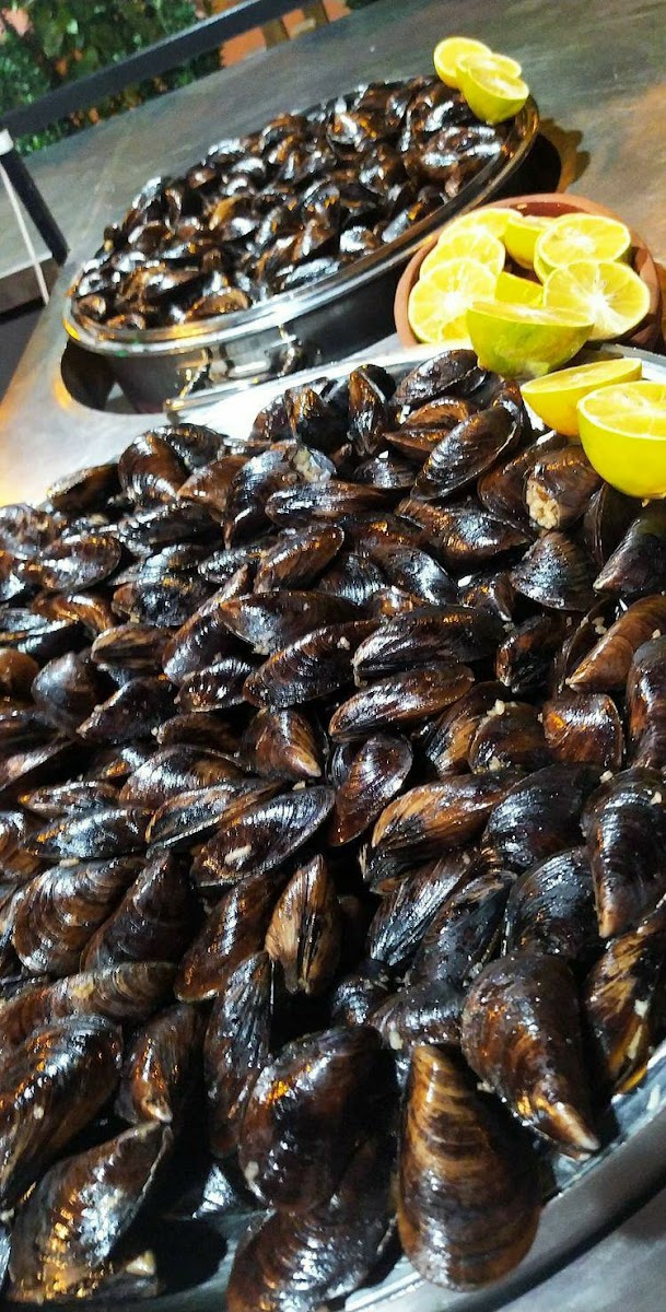 Haydo Midye Kokoreç-8